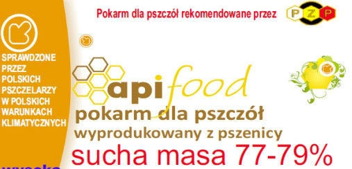 Syrop  APIFOOD 44 szt. x 15 kg = 660 kg  PALETA 