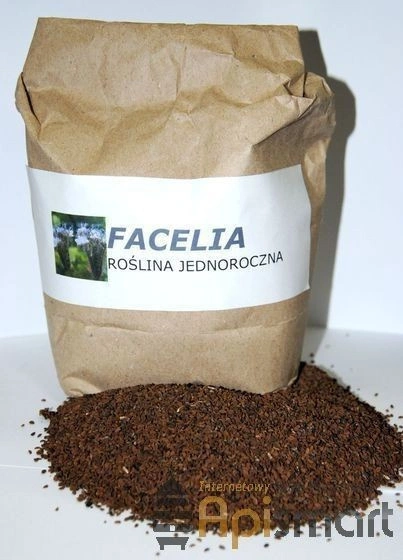 Roślina miododajna – Facelia błękitna, odmiana Natra, 1 kg