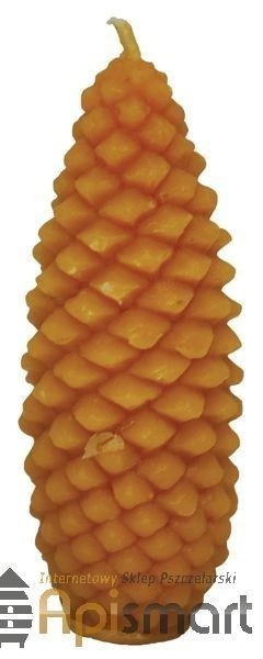 Forma silikonowa Szyszka sosnowa (8cm)
