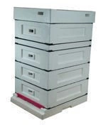Bee hive Dadant 1/2 with low bottom, painted